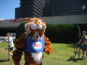 Rundstreckenrennen-2007 013